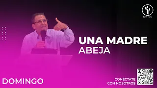 #EnVivoCBIE🔴| Una madre abeja - Ángel Flórez | CBIE