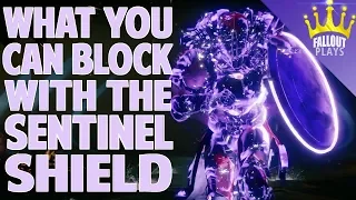 What You Can Block with the Sentinel Shield | Destiny 2