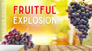 Grape Explosion 🍇💥  #shorts #facts #nature