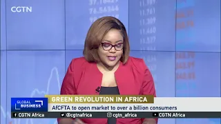 Green Revolution in Africa: Ways to create sustainable food systems globally