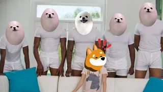 THE NEXT 1B MEME IS HERE - $EGG IS A DOG AND HAS LEGS