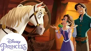 Bedtime For Max | Disney Princess Read Alongs