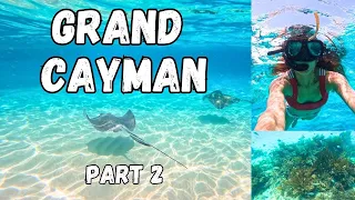 GRAND CAYMAN - Honeymoon trip part 2 of 3, Stingrays, Starfish & HUGE Tarpon