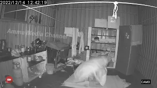 Horror video The real ghost paranormal  activity the Scary Ghost caught on cctv footage don't mis it