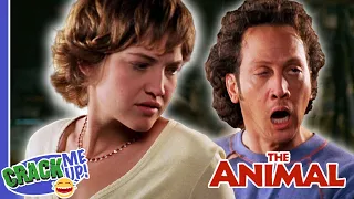 ROB SCHNEIDER's LOVE NEST | The Animal | Best Scenes