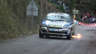 Renault Clio Williams Gr.A | Pure Sound | Rally du Var 2014 | Collobriere