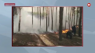 До гасіння масштабної пожежі на Луганщині долучилися військові з зони ООС та Нацгвардія