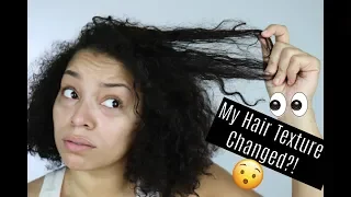 My Natural Hair Texture Changed! Where Are My Curls?? | Details + More