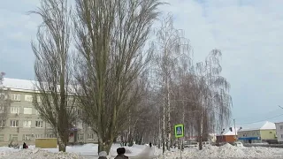 Козьмодемьянск: пирамидальные тополя на улице Учебная. Прогулка  8 декабря 2022 г #козьмодемьянск