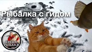 ПЕРВЫЙ ЛЕД! Зимняя рыбалка с КОТОМ на деревенском пруду | Ловля  на мормышку! 2021