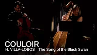 Villa-Lobos: The Song of the Black Swan | Couloir