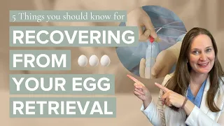 Egg Retrieval - 5 Tips To Improve The Outcome | Dr Lora Shahine