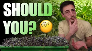 Microgreen Growers - Should You Become One?