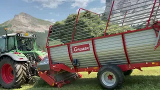 Ladewagen Gruber proALP 300 T | Einsatzvideo