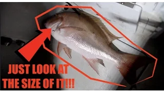 WE DIDN'T EVEN KNOW THEY GOT THAT BIG!!! | COMMERCIAL DEEP SEA FISHING FLORIDA