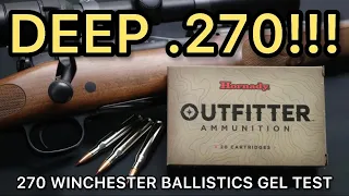 WILDLY INACCURATE?! 270 Winchester Hornady Outfitter 130gr CX Ammo Test