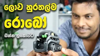 THE WORLD'S CUTEST ROBOT - Sri Lanka 🇱🇰