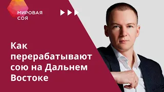 Степан Инюточкин («Соя АНК») о переработке со в регионе ДВО и перспективах экспорта соевого масла