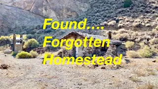 Abandoned Homestead In The Mountains - Nevada