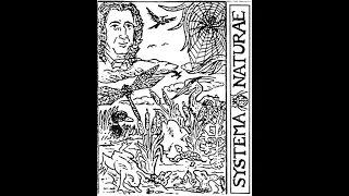 NIGHTCRAWLERS - Systema Naturae [1982]