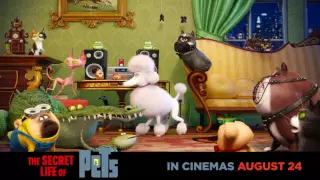 When the humans are away, the pets will play #TheSecretLifeOfPets