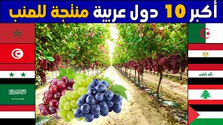 من هي اكبر دولة عربية في زراعة و انتاج العنب ؟ تصنيف جديد لأكبر 10 محاصيل عنب عند الدول العربية 2023