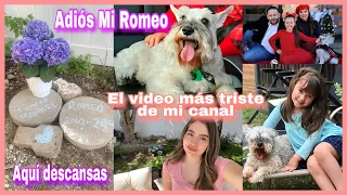 Adiós Mi Romeo😭 El video más triste de mi canal, mi perrito se murió.