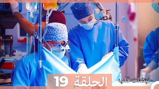 مسلسل نبضات قلب - الحلقة 19