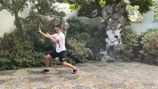 Hung Gar Kuen Kung Fu White Tiger Form 洪家拳 功夫 白虎套路