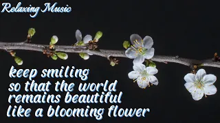 Relaxing Music: Keep smiling so that the world remains beautiful like a blooming flower