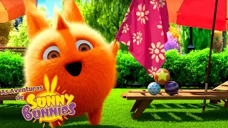 SHOW DE MÁGICA | As Aventuras de Sunny Bunnies | Desenhos Animados Infantis