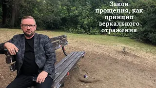 Закон прощения, как принцип зеркального отражения (Алексей Ледяев), 02.05.21.