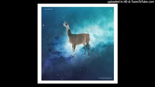 Llama Nirvana - The Polish Ambassador