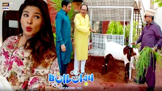 Bulbulay Season 2 | Episode 65 | Ayesha Omer & Nabeel | Top Pakistani Drama