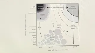 How Human Evolution Created the Anthropocene and Stops Us from Dealing with Climate Change