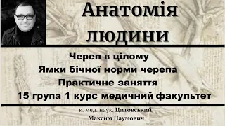 Череп в цілому  Ямки бічної норми черепа  Практичне заняття 15 група 1 курс медичний факультет