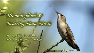 "Ballad Pour Adeline" by Richard Clayderman & Hummingbirds 🌼🎵🎹