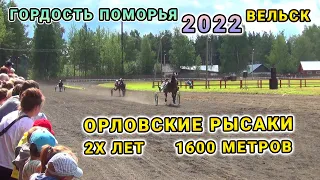 Забеги Орловских Рысаков 2x лет на 1600м - Конный спорт Вельск