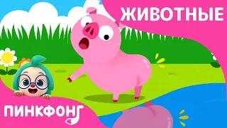 Видел Кто-нибудь Мой Хвост? | Песни про Животных | Пинкфонг Песни для Детей