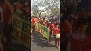 Marcha das mulheres indígenas