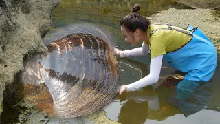 The girl explores and discovers giant clams, pleasantly surprised to discover sparkling pearls😱😱