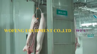 Carcass washing machine for pig slaughterhouse of WFA quality factory production