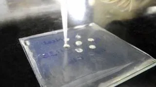 Ouchterlony Double Diffusion for Antibody Titration - Amrita University