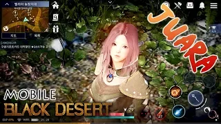 Seriusan Keren Parah | Black Desert Mobile [KR] Android MMORPG