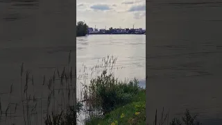 Hochwasser am Rhein - Mannheim - Ludwigshafen am Rhein