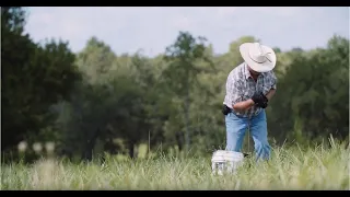 Grazing Cover Crops: The Cover Crop Grazing Project