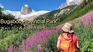 Conrad Kain Hut And Applebee Dome Dayhike | Exploring Bugaboo | The Secret Paradise In The Rockies
