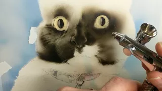 How to paint a realistic cat using an airbrush