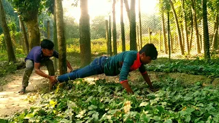 WhatsApp Funny videos very injection comedy video_ stupid Boys _New Funny 2020_Ajaira team