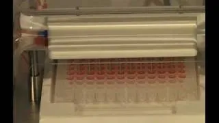 Asys Atlantis Microplate Washer